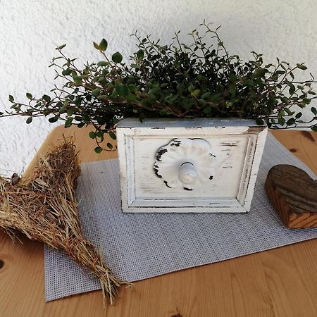 Ferienwohnung Deine Rauszeit 塞埃巴克 外观 照片