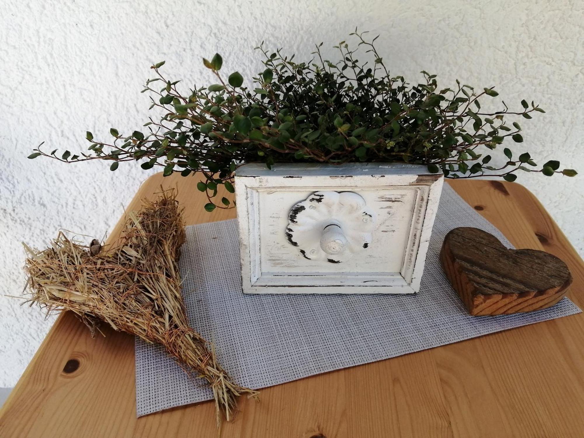 Ferienwohnung Deine Rauszeit 塞埃巴克 外观 照片
