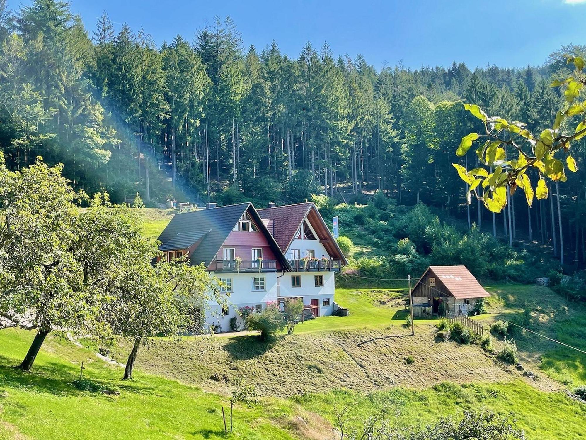 Ferienwohnung Deine Rauszeit 塞埃巴克 外观 照片